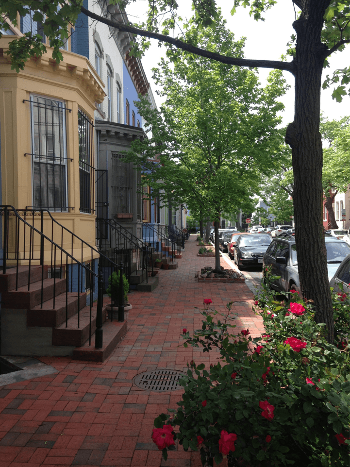 Great outdoor walk spaces including charming French Street featuring refurbished historic row homes
